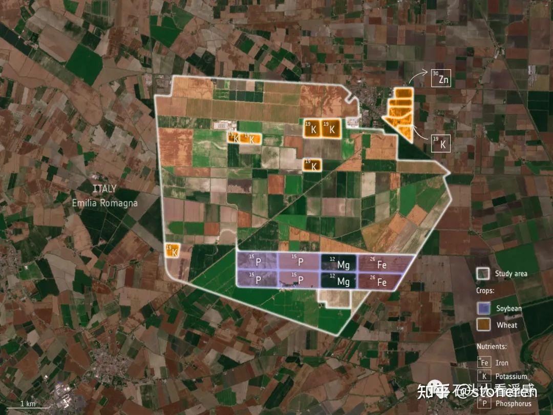 智涌八桂农焕新生(图1)
