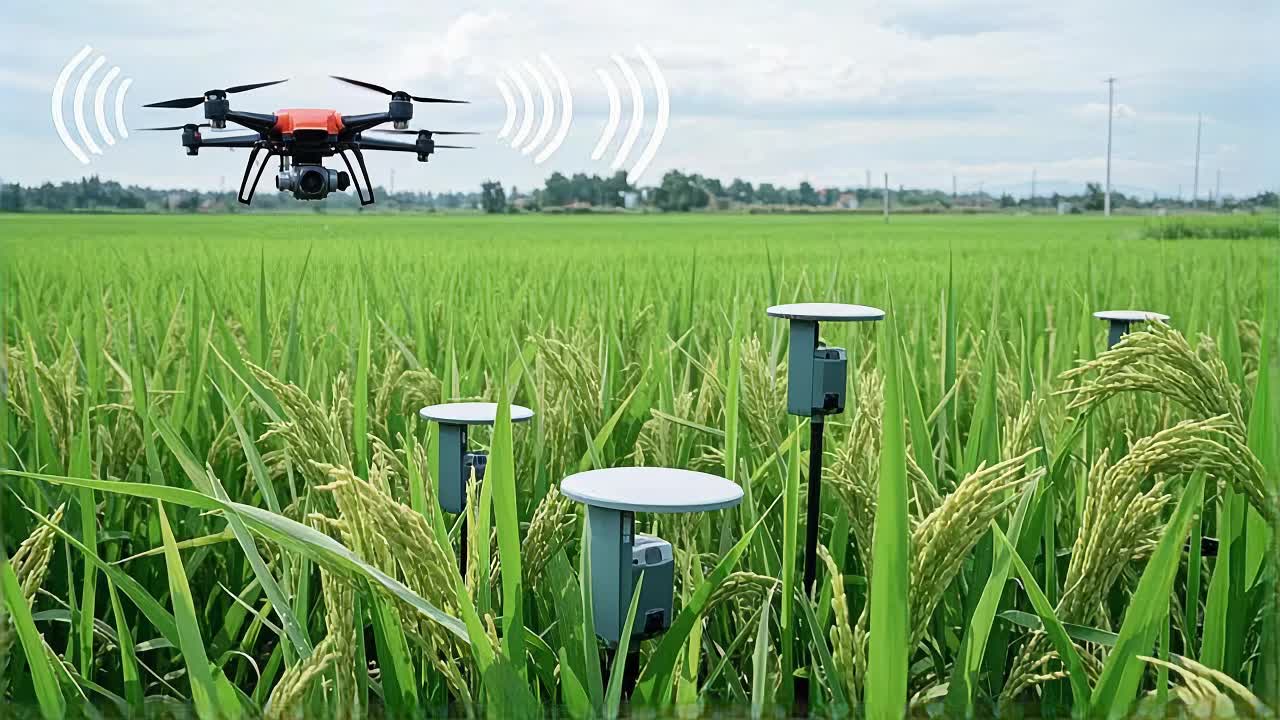 科技赋能农田！遥感监测系统化身“千里眼”洞察农情助力高效丰收！(图1)