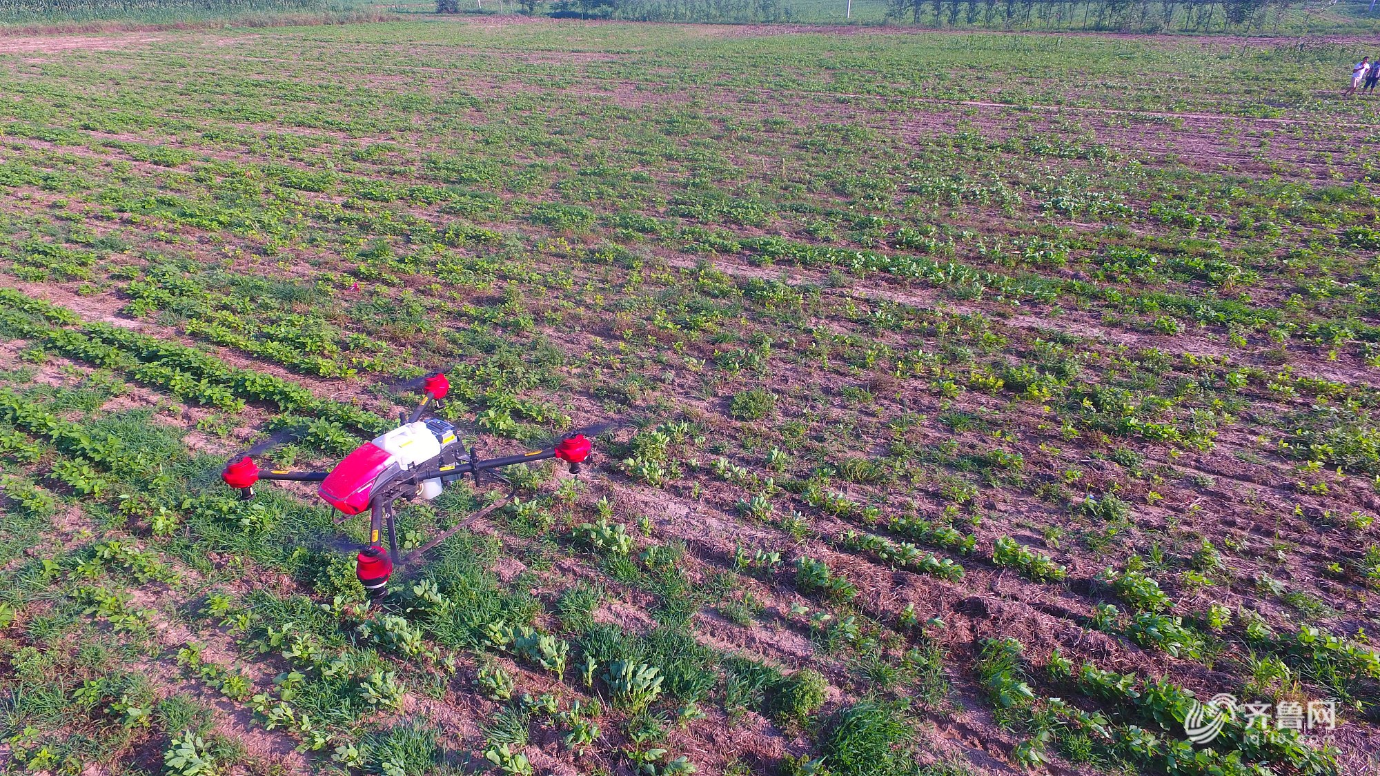 习近平总书记赴海南、广东考察并出席第十五届全运会开幕式纪实(图1)