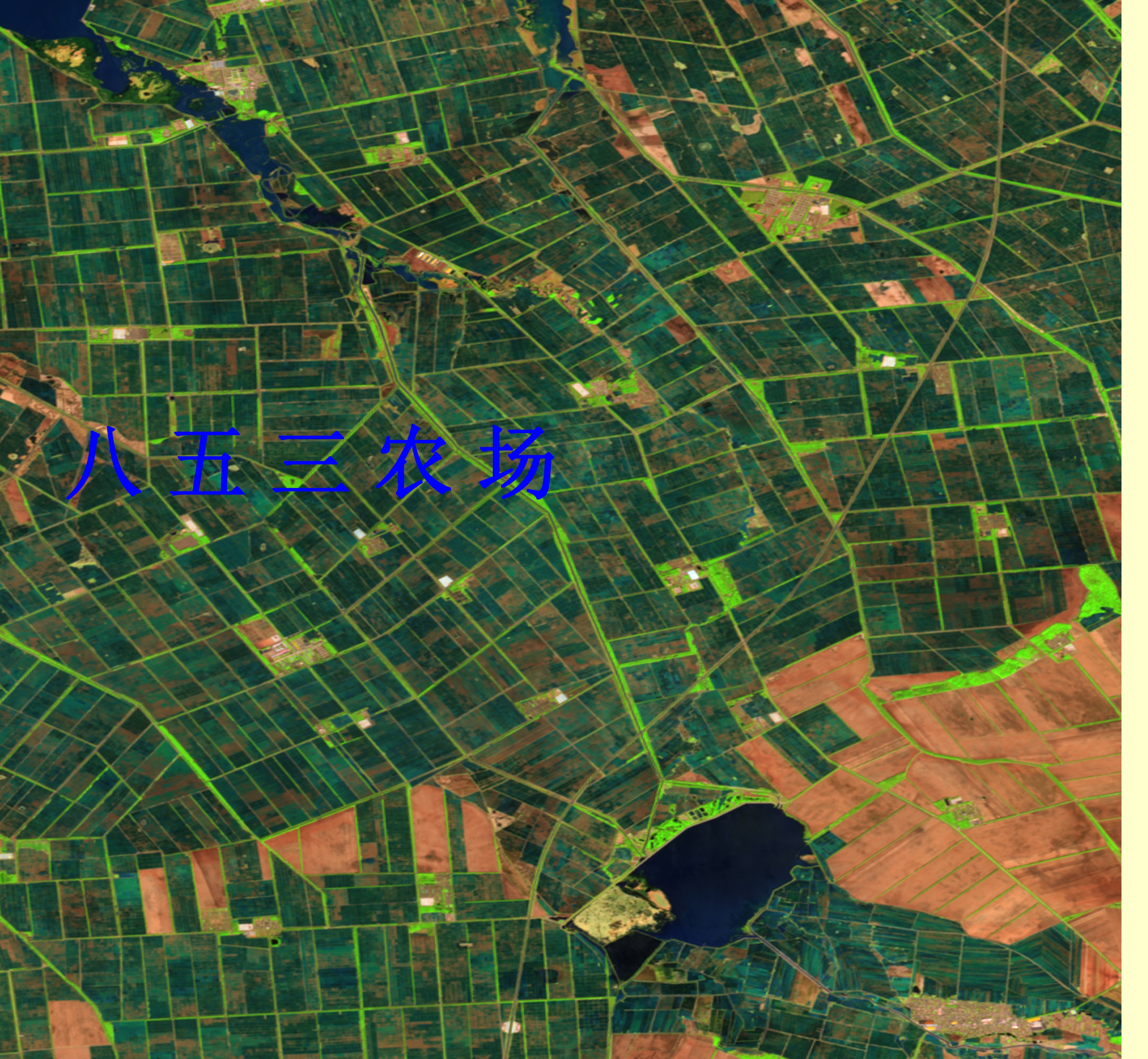 气象助力粮食稳产增收!山东找到了这个“智慧密码”→(图1)
