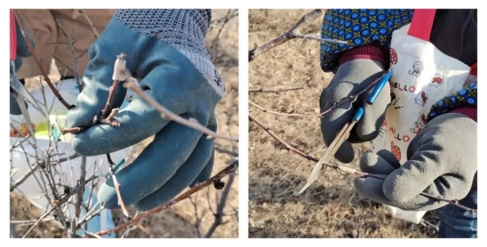 【理响中国】深刻认识人工智能重塑教育教学形态的战略意义(图1)