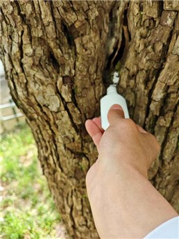 氯虫、丙硫、氟吡菌酰胺、砜吡草唑……谁将是2026年的顶流大单品(图1)