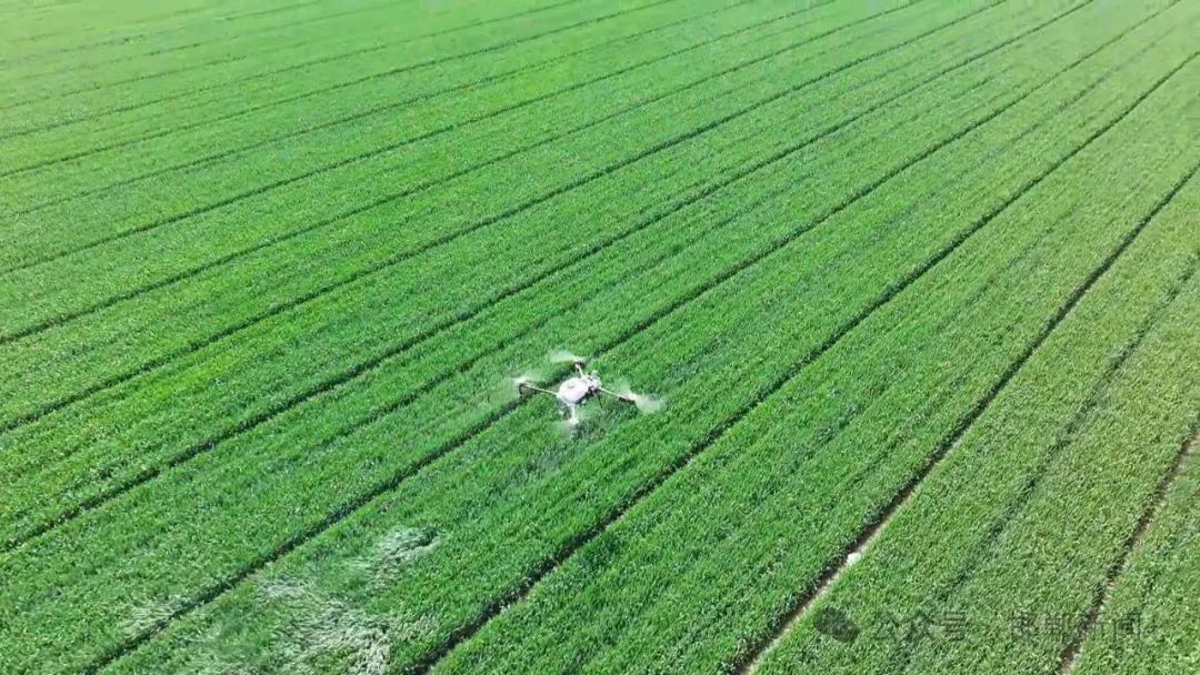 2025十大有害生物防治口碑实力榜灭鼠杀虫白蚁防治全攻略(图1)