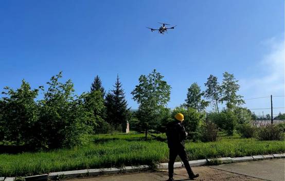 沙特阿美大学突破：AI终于能看见那些完美隐身的伪装动物了！(图1)