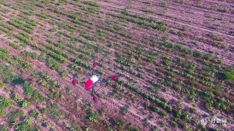 神州植保无人机：科技赋能农业精准高效解农忧(图1)