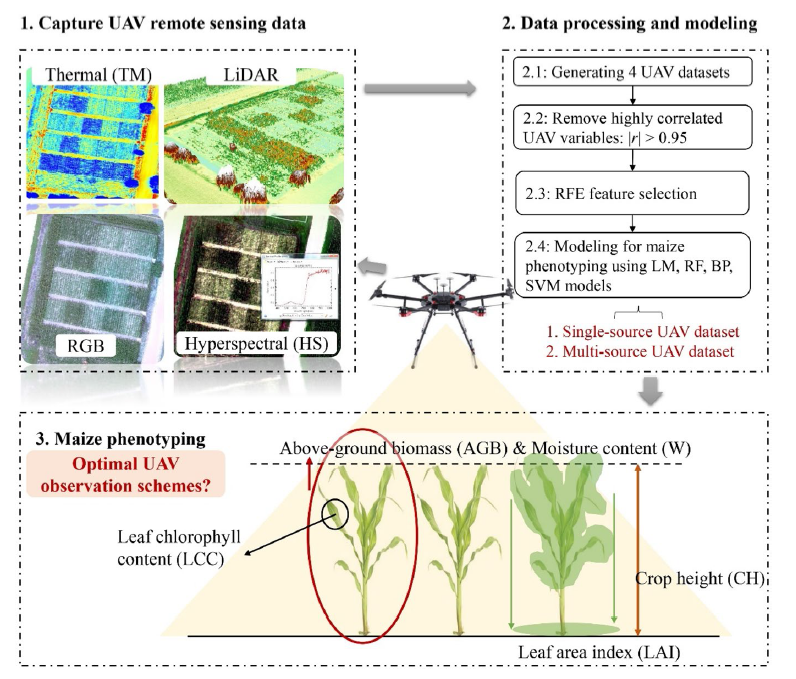 卫星遥感监测如何应用在粮食安全监管领域？(图1)