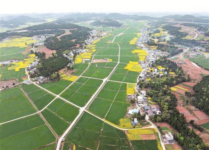 营口：推动水稻气象服务示范基地建设(图1)