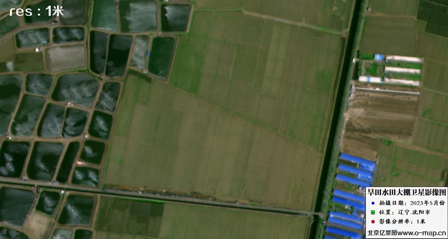 我国成功发射阿尔及利亚遥感三号卫星B星(图1)