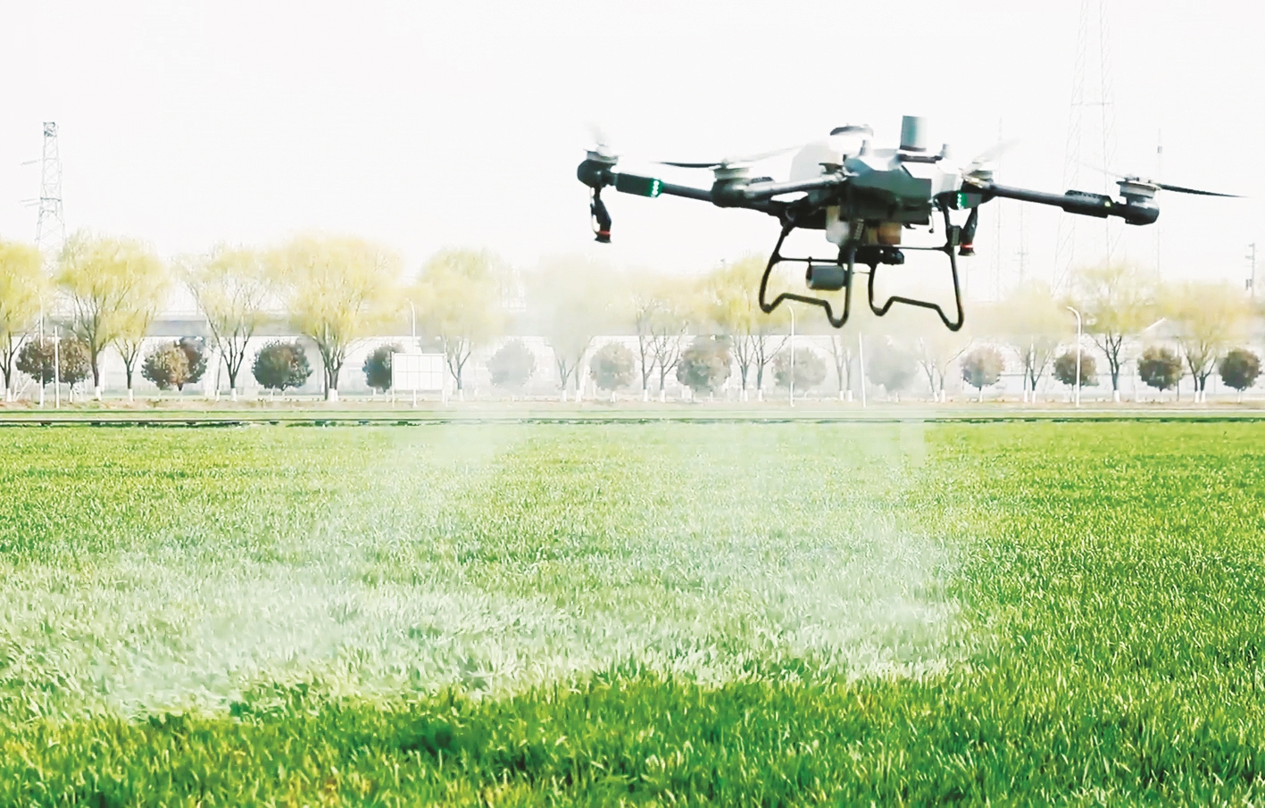 林芝市生态环境局(图1)