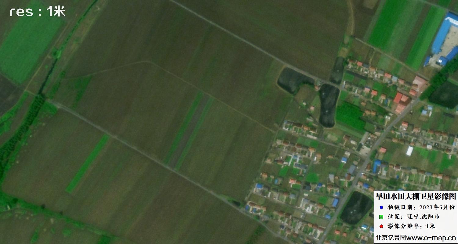 农业农村部关于落实《中共中央国务院关于锚定农业农村现代化扎实推进乡村全面振兴的意见》的实施意见(图1)