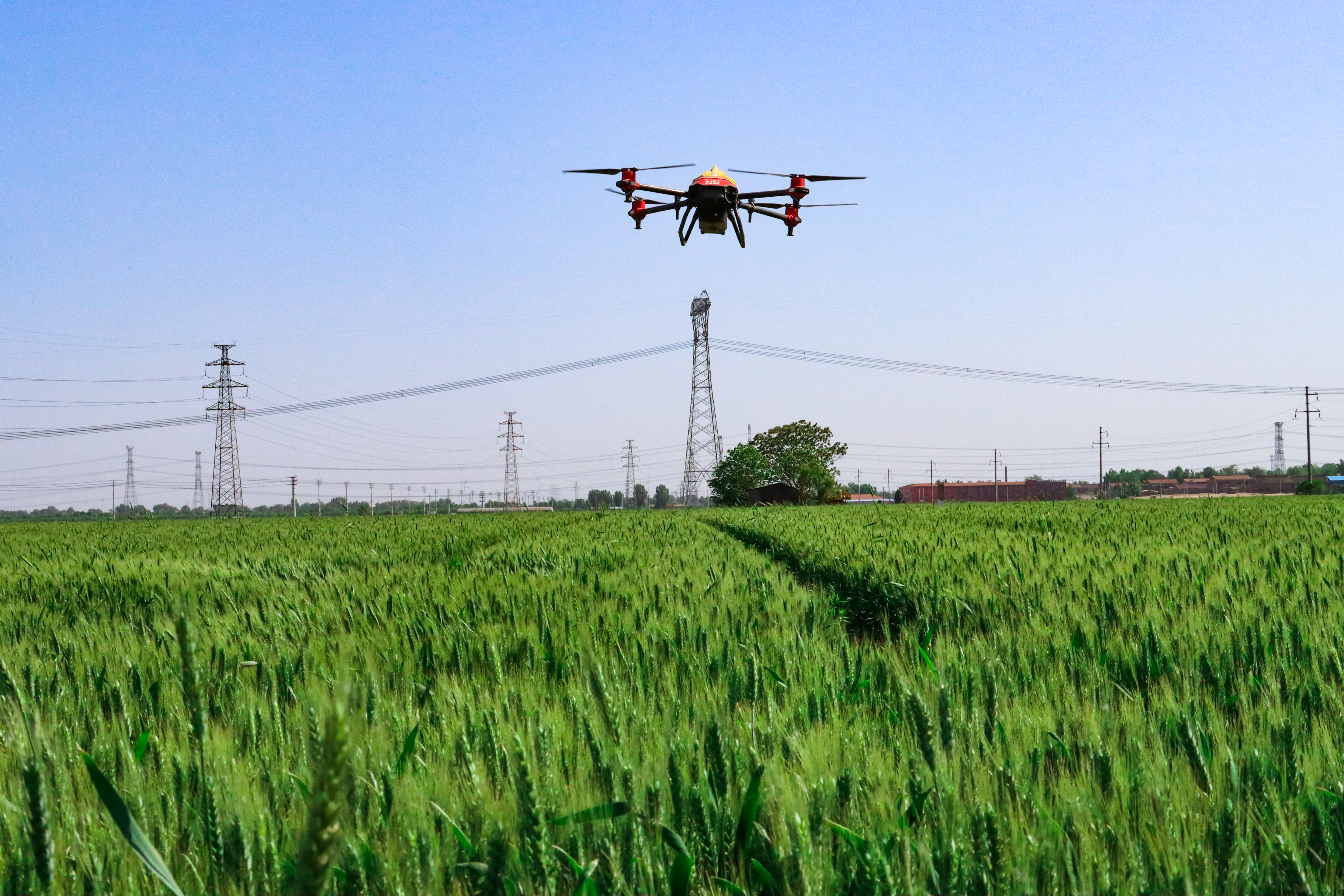 全国政协十一届二次会议提案第0081号(图1)