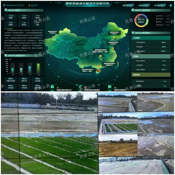 2026化肥行业调研及未来发展趋势预测(图1)