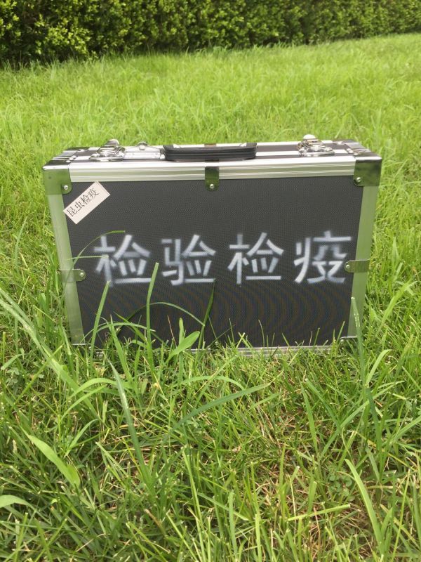 2026城市绿化产业:从“地块绿化”到“全域绿色网络”(图1)