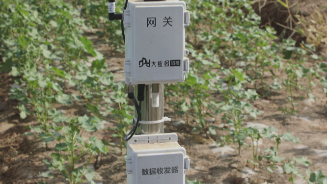 寻找知名高端医养结合社区服务与专业护理养老院2026推荐泰康之家燕园及燕达金色年华健康养护中心(图1)