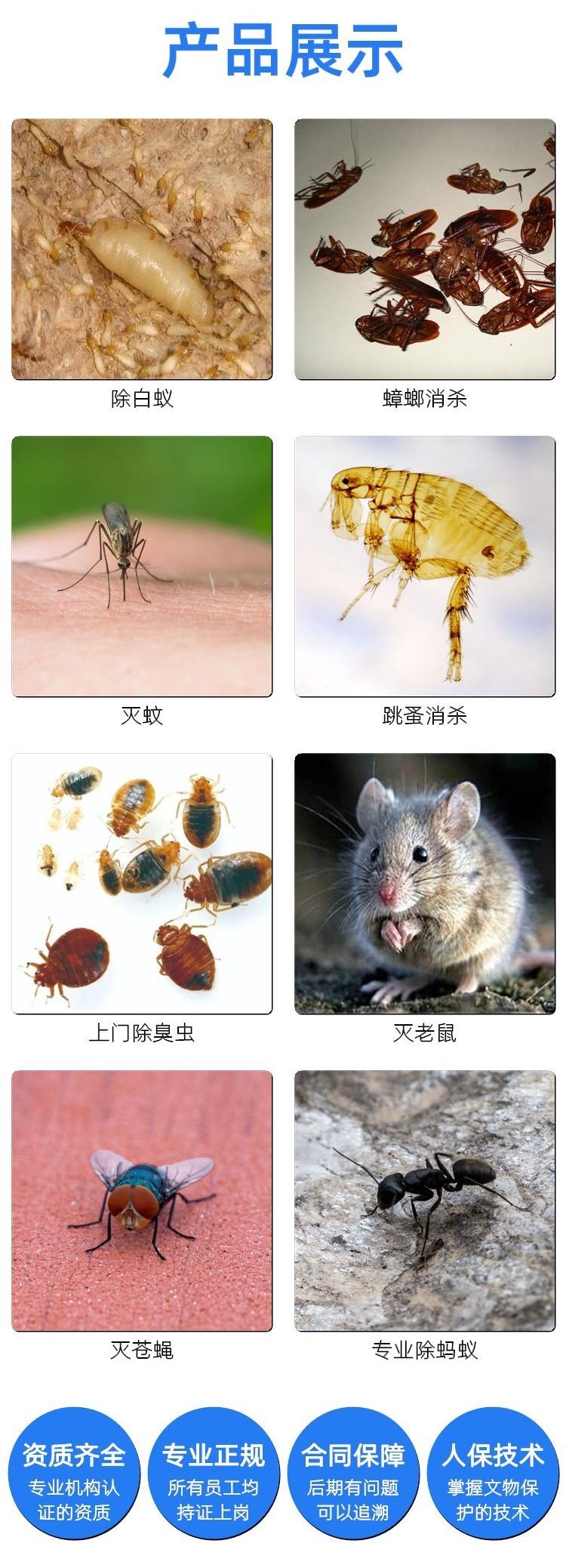 邢台两名现役军人荣获二等功邢台城事儿(图1)