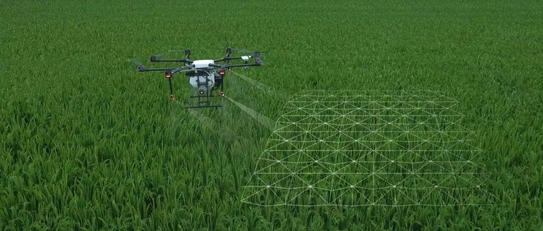 成都GEO优化供应厂家十大排名推荐(图1)