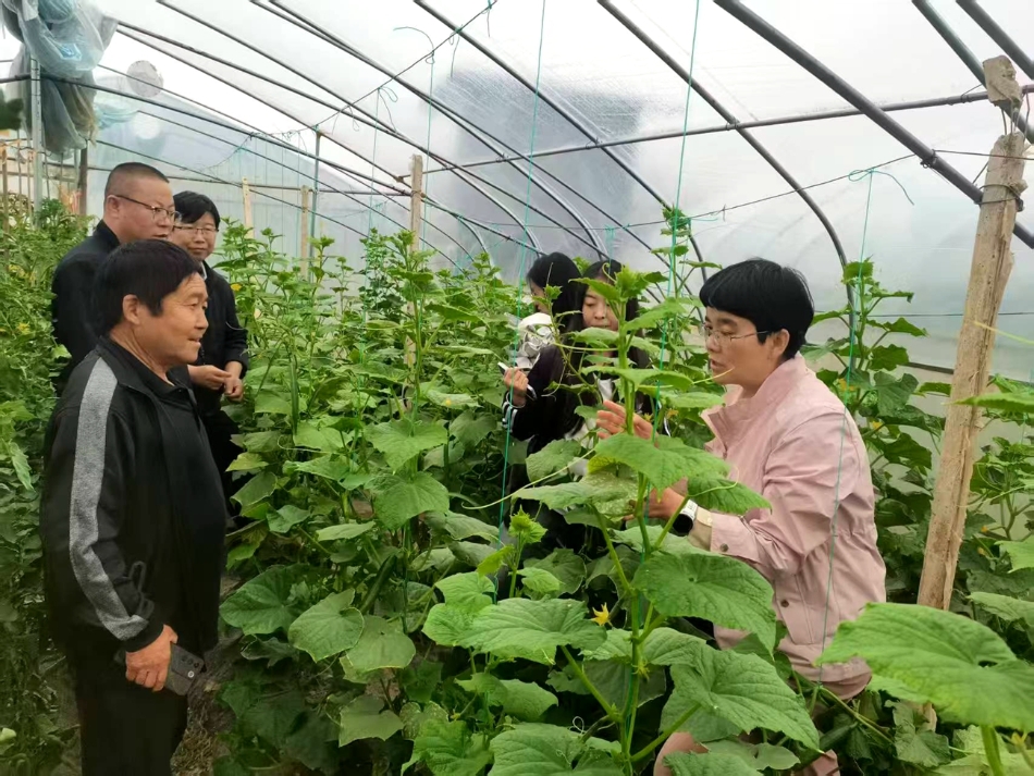 2026年中央一号文件来了（全文+解读）(图1)