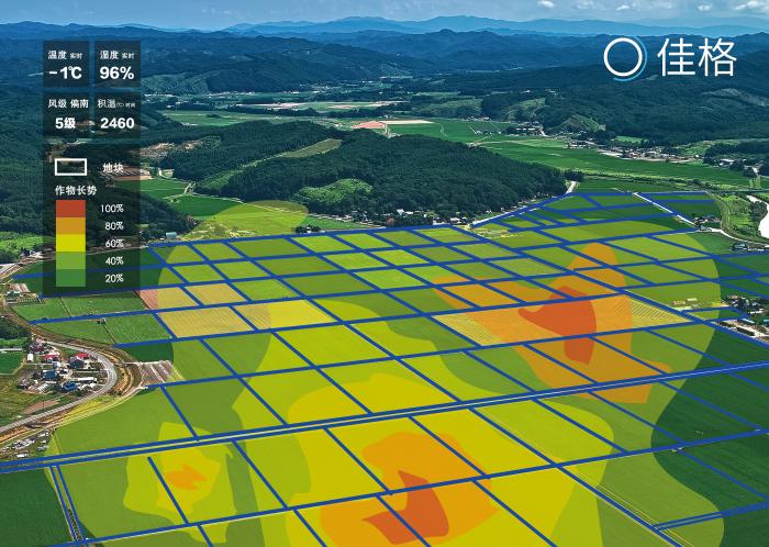 新春走基层春水润沃野倾力护粮安(图1)