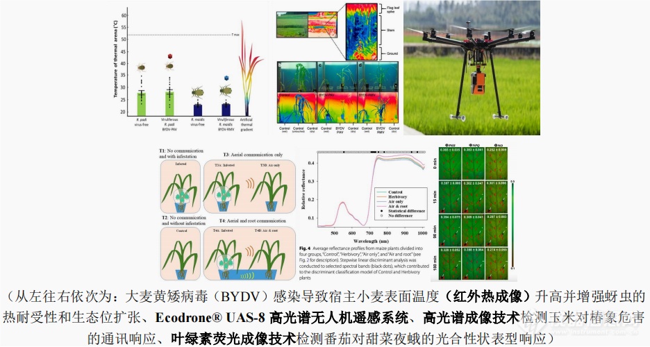 2026农业物联网行业发展市场规模与趋势分析(图1)