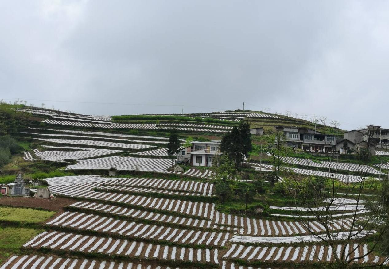 中国农业科技创新动能更足、前景更广(图1)