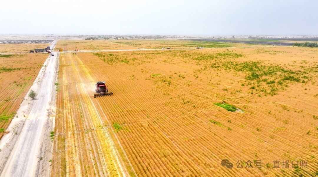 山东科技大学：“冲一流”构建覆盖多场景“大安全”学科体系(图1)