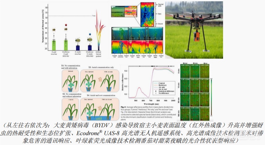 聚焦虫卵监测探索绿色储粮——山东商务职业学院赴淄博开展专题调研(图1)