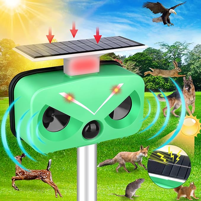 春耕开局植保护航——湖南省植保植检站举办全省油菜病虫害防控技术培训(图1)