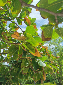 2026-2030年全球与中国人工智能SaaS市场：大模型幻觉与高成本推理的算力焦虑(图1)