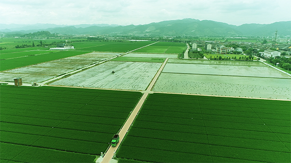 孔祥智：迈向更高水平的粮食安全与乡村发展——学习贯彻中央农村工作会议精神（2）(图1)