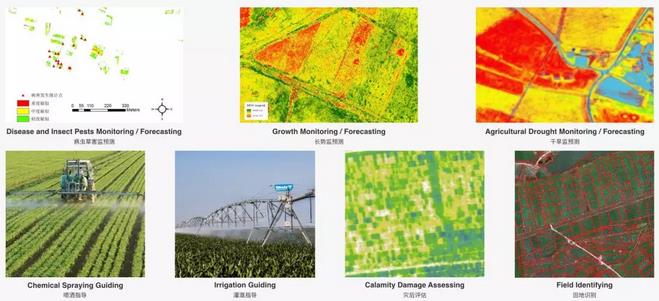 人工智能AI:农业病虫害计算机视觉-水稻病害识别(9种病害)(图1)