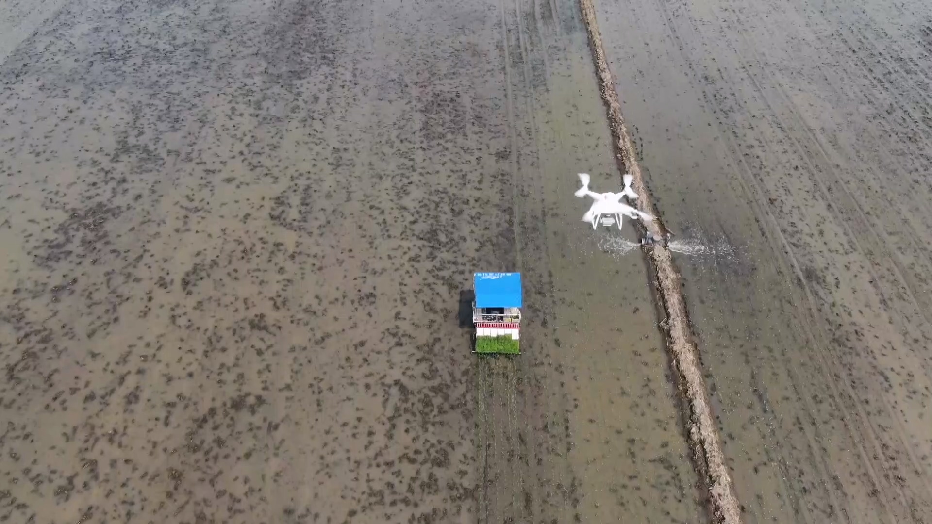 冰融河开迎大考——黄河开河过半防凌工作综述(图1)