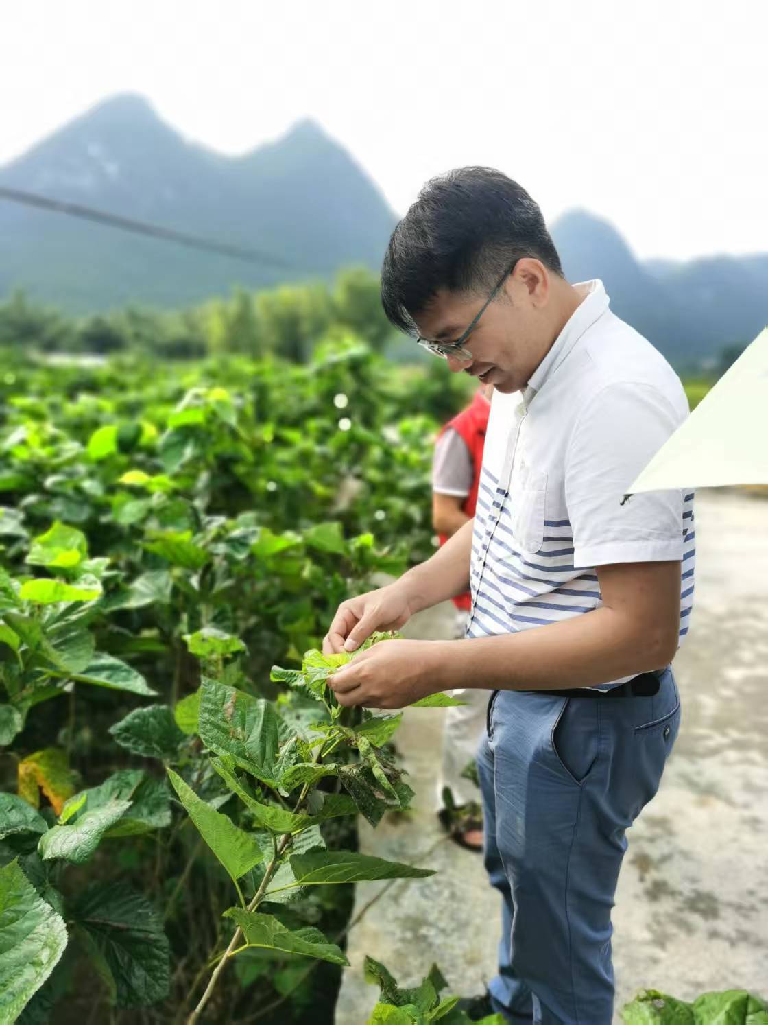 中医药的春天来了(图1)