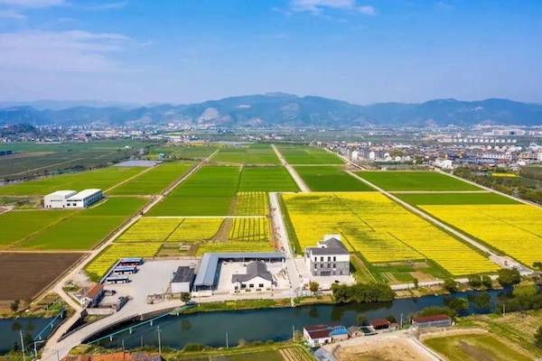 高标准农田赋能现代农业(图1)