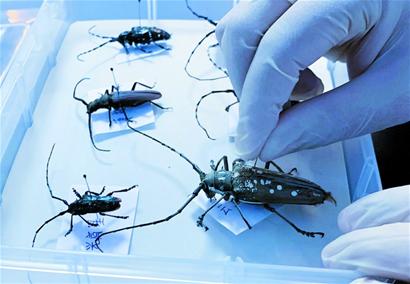 农业农村部办公厅(图1)