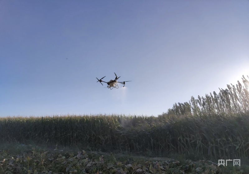 农田遥感监测系统用高空视野和精细探测开启农业现代化的精准篇章!(图1)