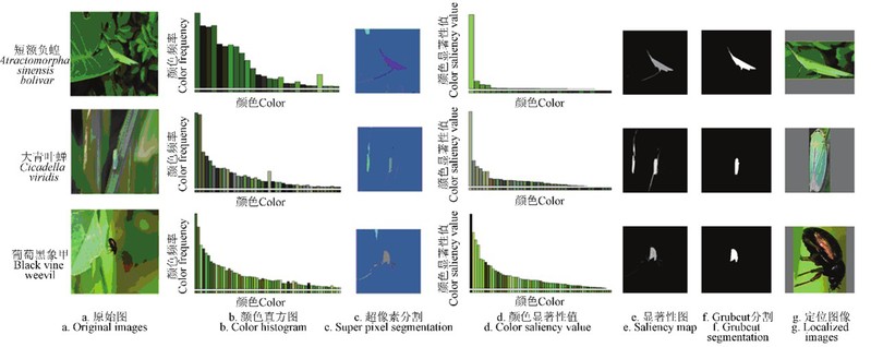 河失镇《以科技赋能春耕筑牢粮安根基》☆(图1)