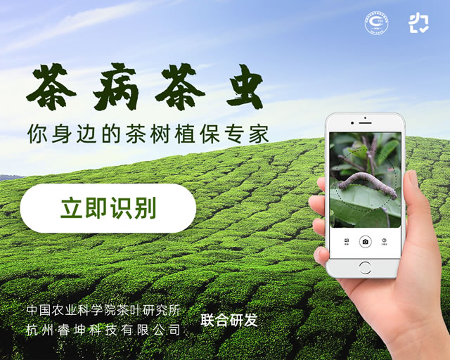 手机怎么识别植物病(图1)