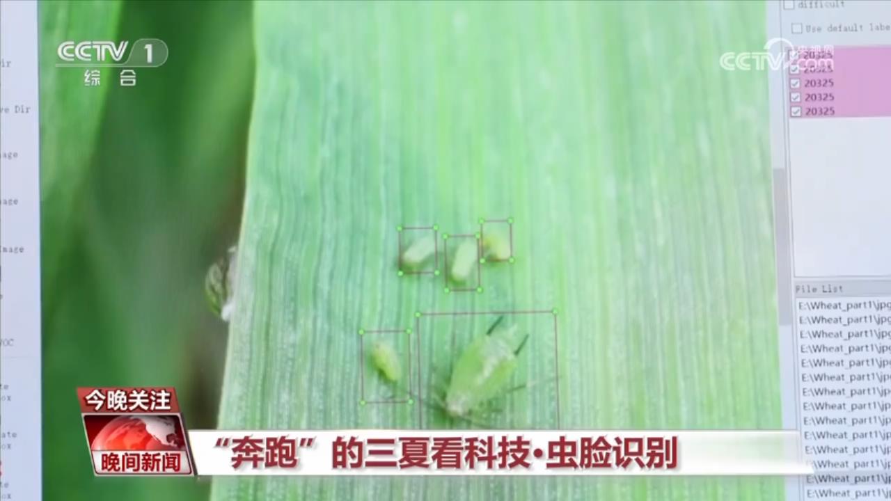 2026年中国AI驱动的病虫害检测系统产业数据报告(图1)