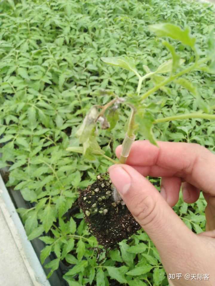 AI助力公路养护：河南企业用科技为高速公路“把脉问诊”(图1)