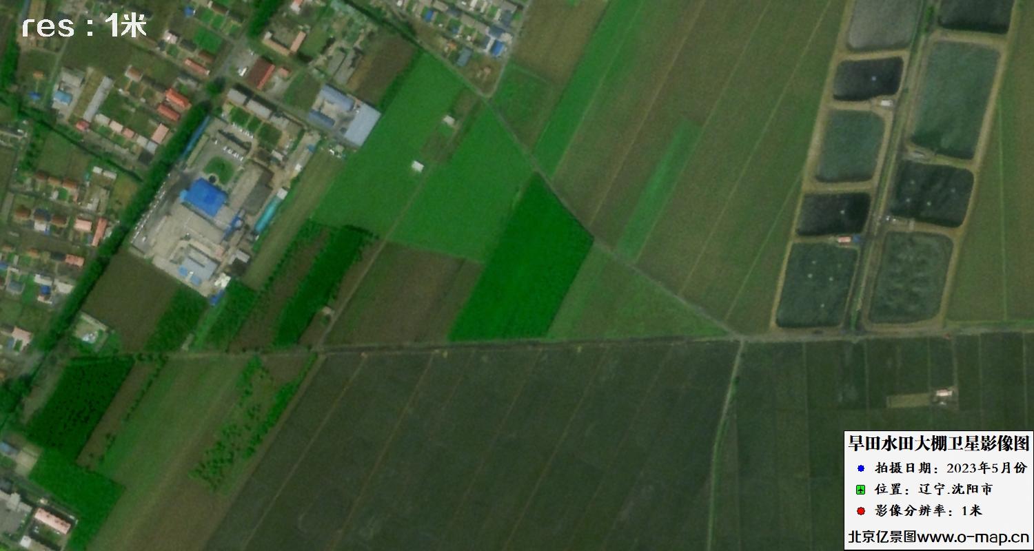 民企奋进自贸港邢诒川:“让海南航天数据产品在全球市场占据一席之地”(图1)