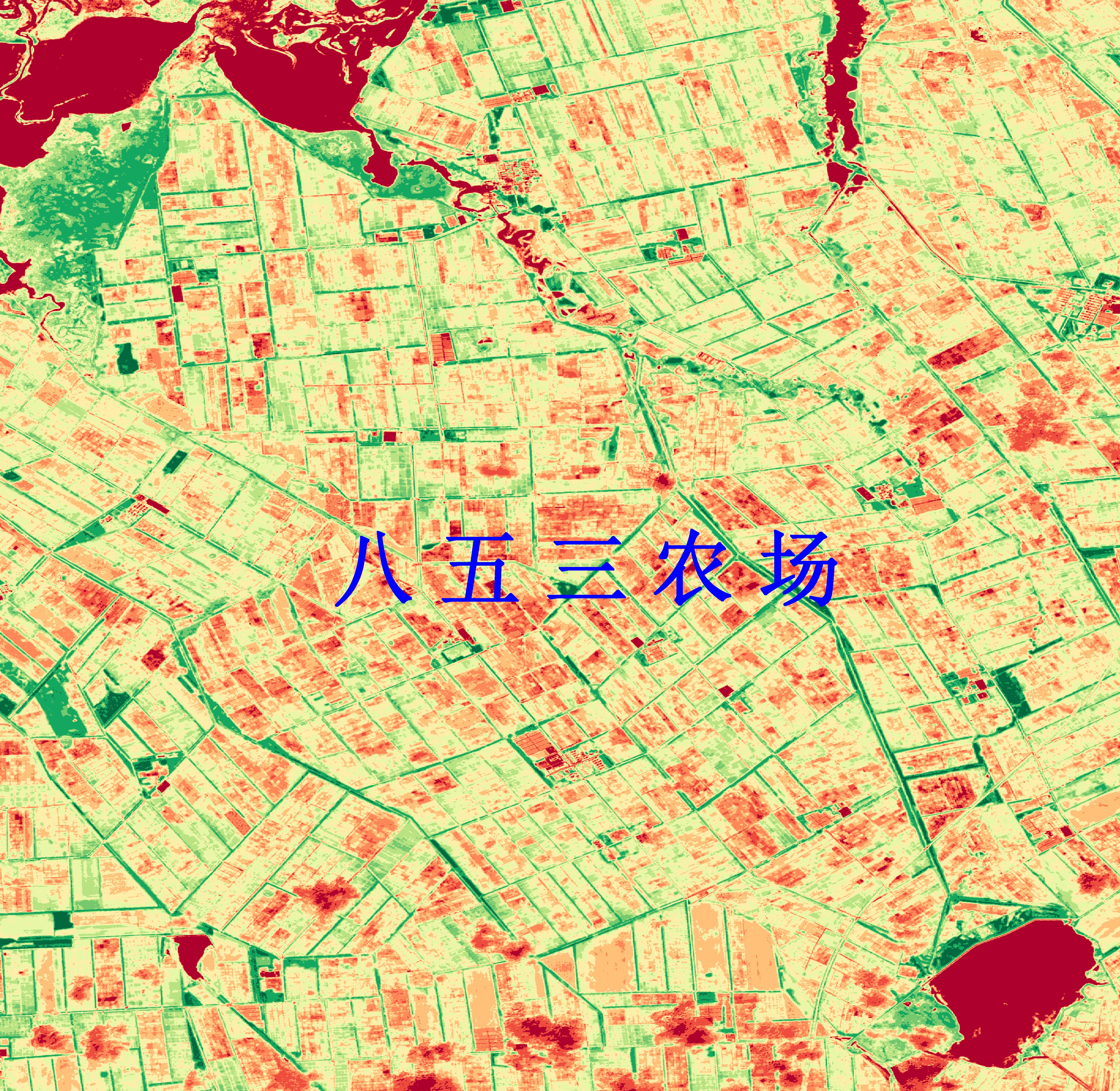 AI算+卫星看遥感测量“摸”清农业家底(图1)