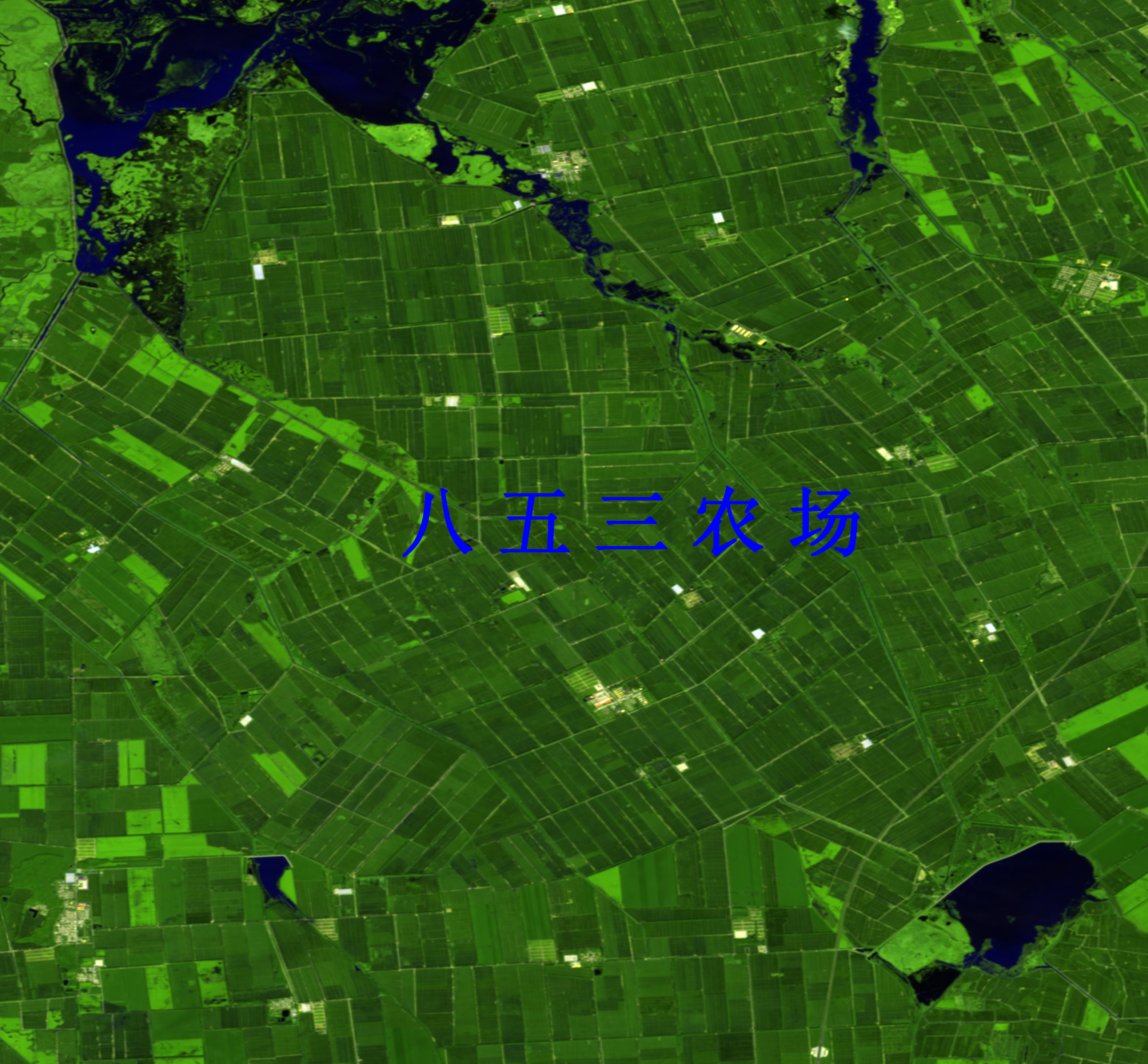 依法行政的重要制度建设成果(图1)