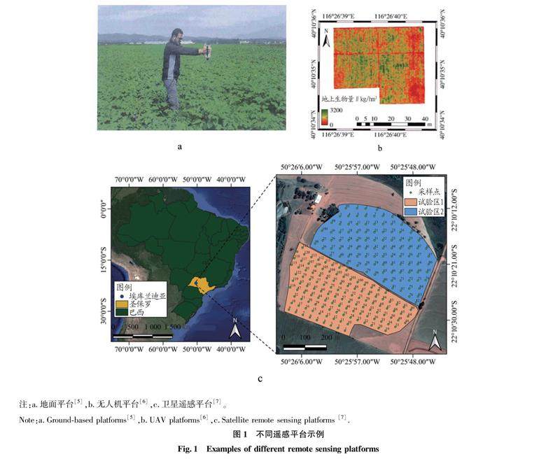 发展农业新质生产力牢牢端稳中国饭碗(图1)