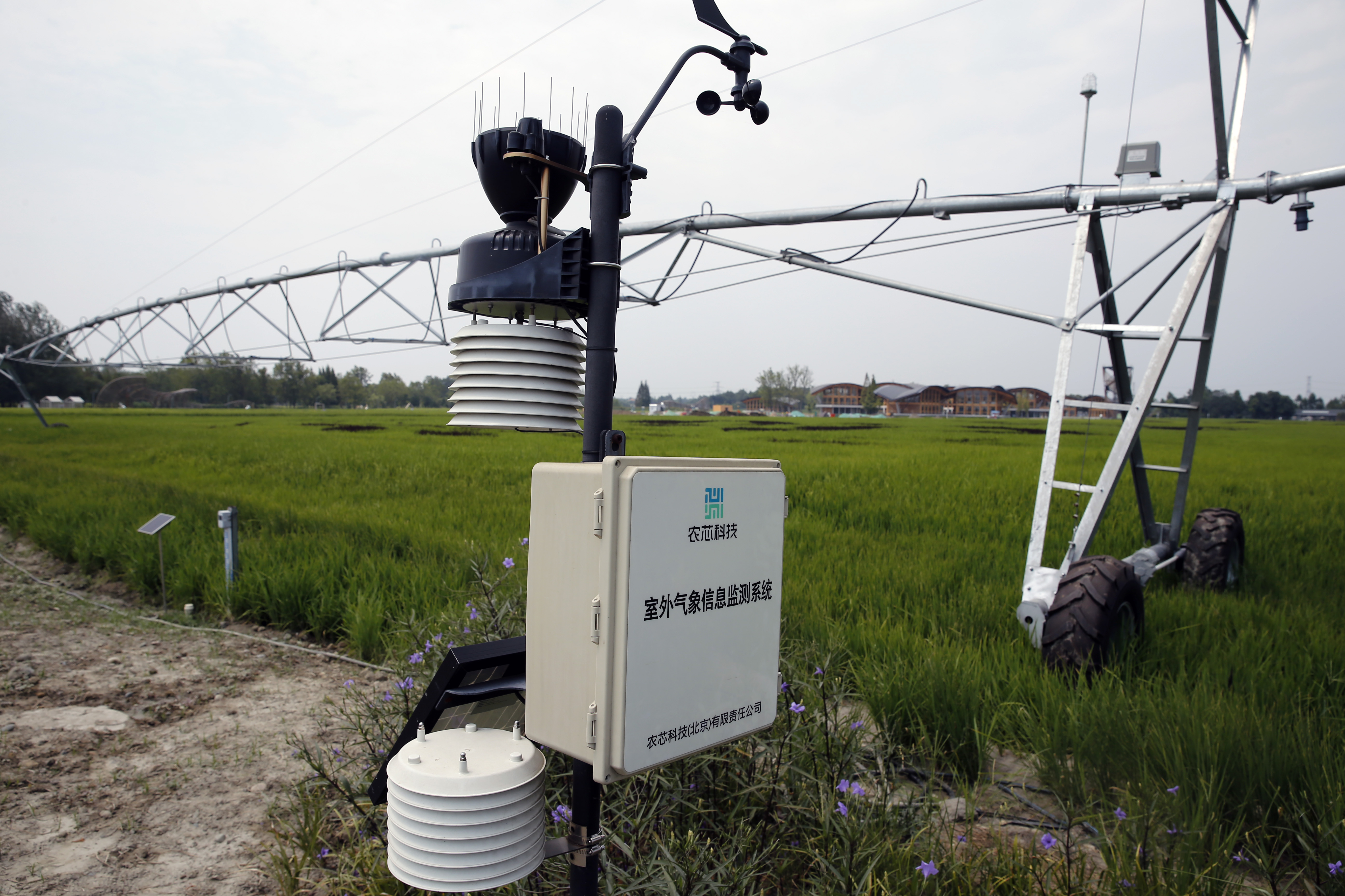 数字普惠金融赋能农业高质量发展(图1)