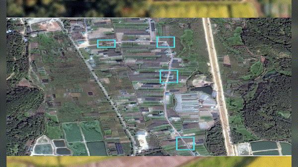 高标准化农田建设让万亩撂荒地变成“淘金田”(图1)