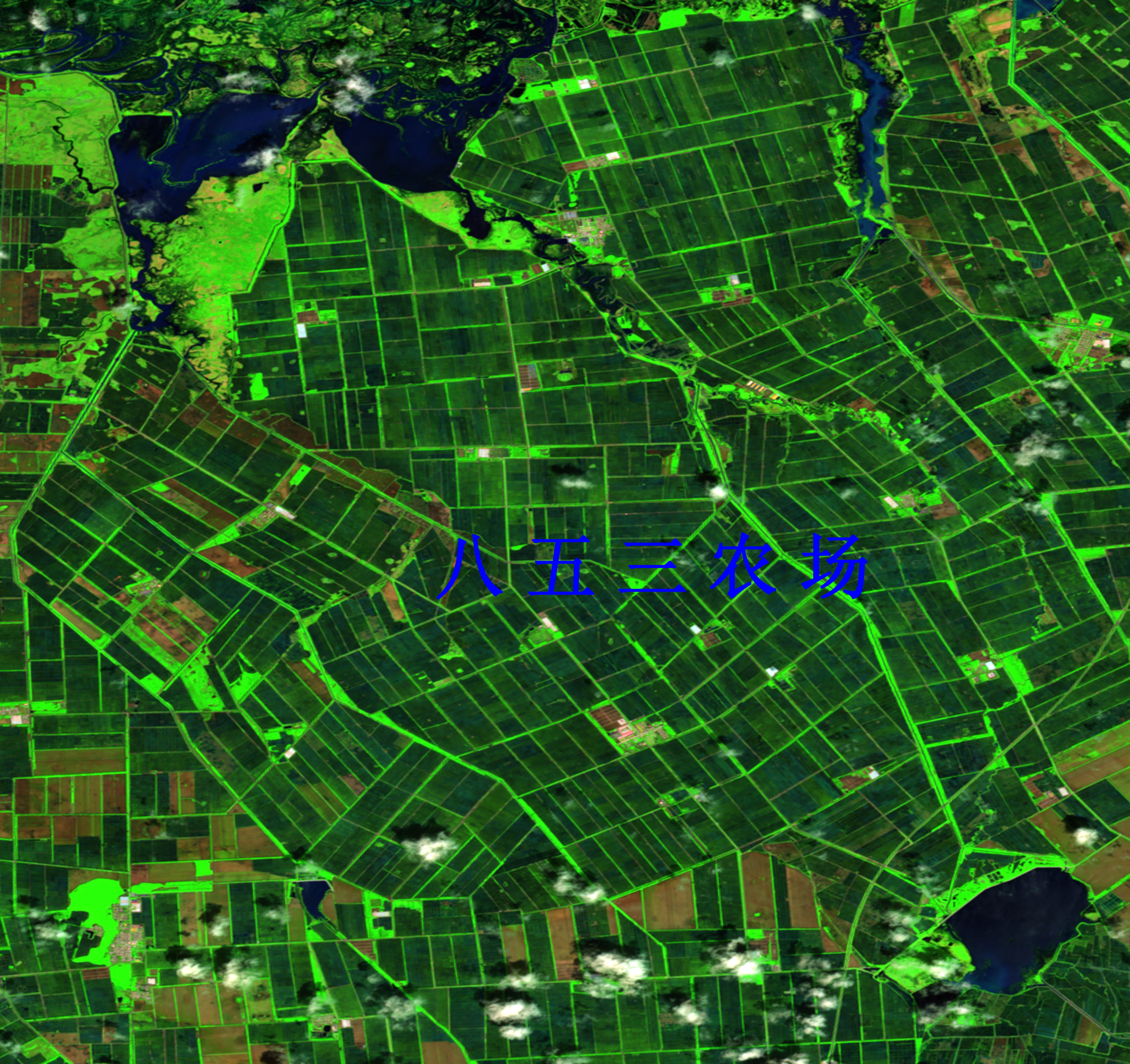 不误农时抓生产颗粒归仓保丰收(图1)