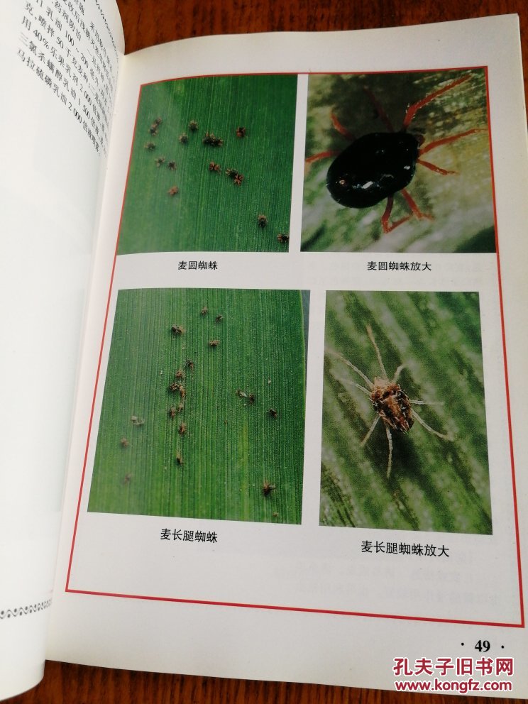 广东发文！加快人工智能在自动驾驶、脑机接口等领域的应用(图1)