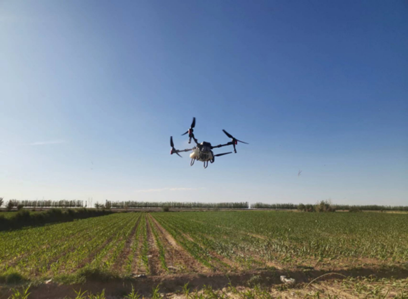 加码“人工智能+”广东发布人工智能行动方案(图1)