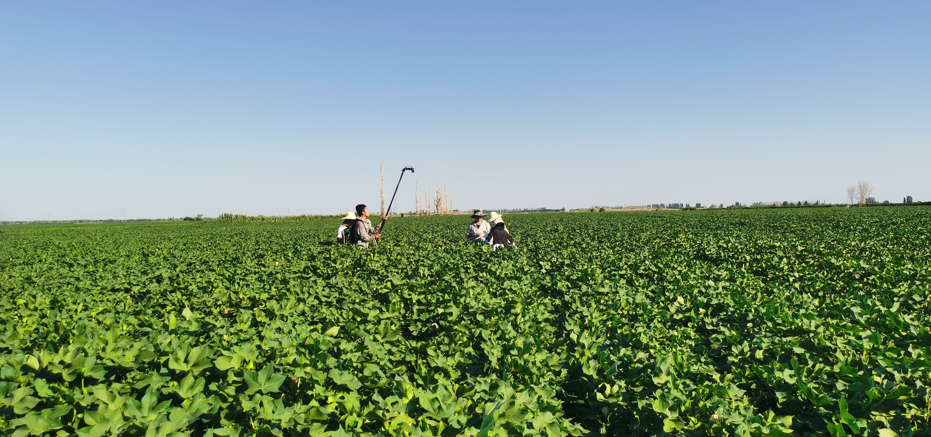 卫星遥感在农业中的5大应用：从长势监测到产量预估全解析(图1)