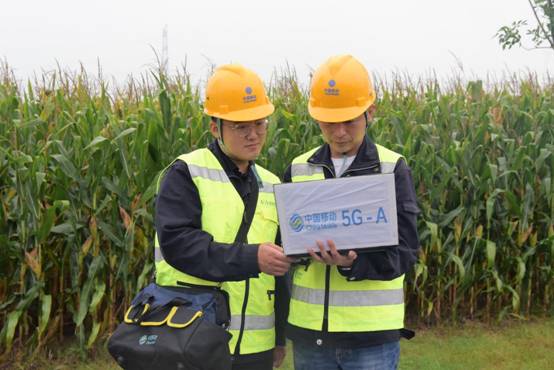 农民增收有“法宝”良田种粮底气足(图1)